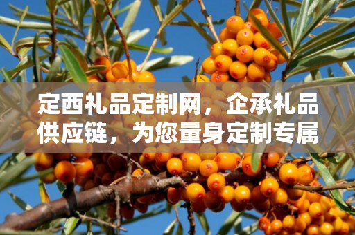 定西礼品定制网，企承礼品供应链，为您量身定制专属礼品