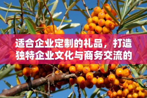 适合企业定制的礼品，打造独特企业文化与商务交流的新选择