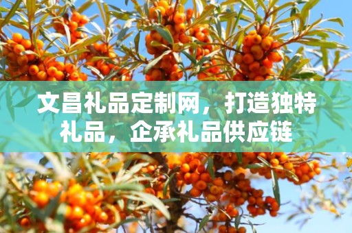 文昌礼品定制网，打造独特礼品，企承礼品供应链