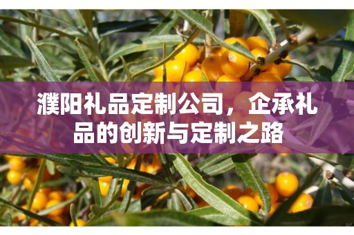 濮阳礼品定制公司，企承礼品的创新与定制之路